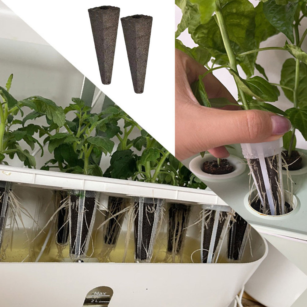 10Pcs Grow Sponges Soil Free C - Gardening Tools Vegetables ulasan dan harga