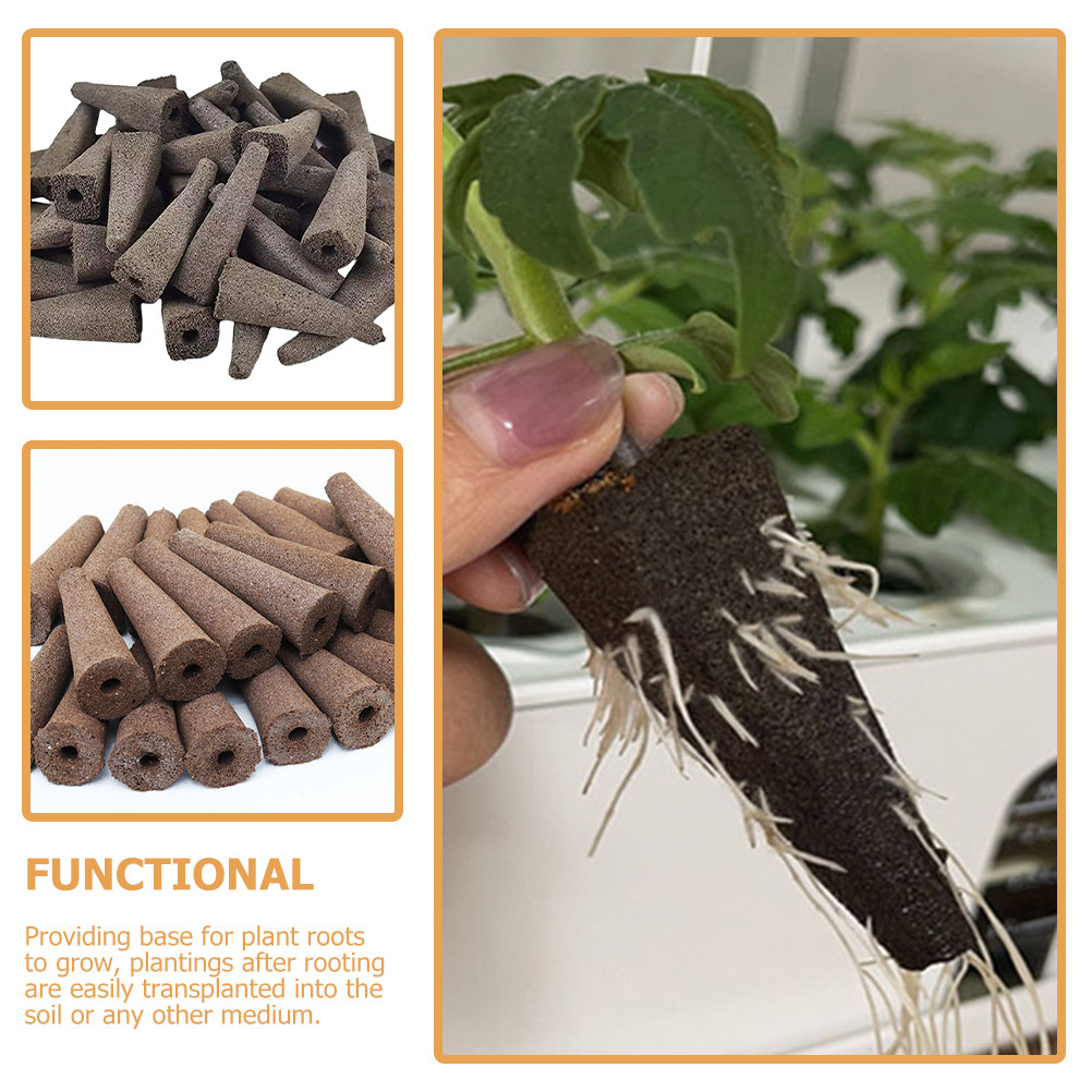 10Pcs Grow Sponges Soil Free C - Gardening Tools Vegetables ulasan dan harga