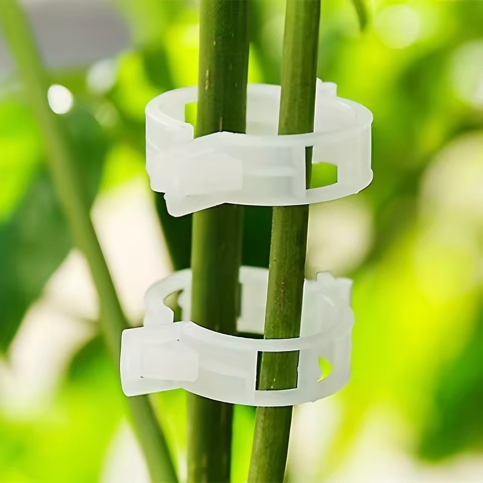 20Pcs Plant Support Clips,Snap - Gardening Tools Vegetables ulasan dan harga