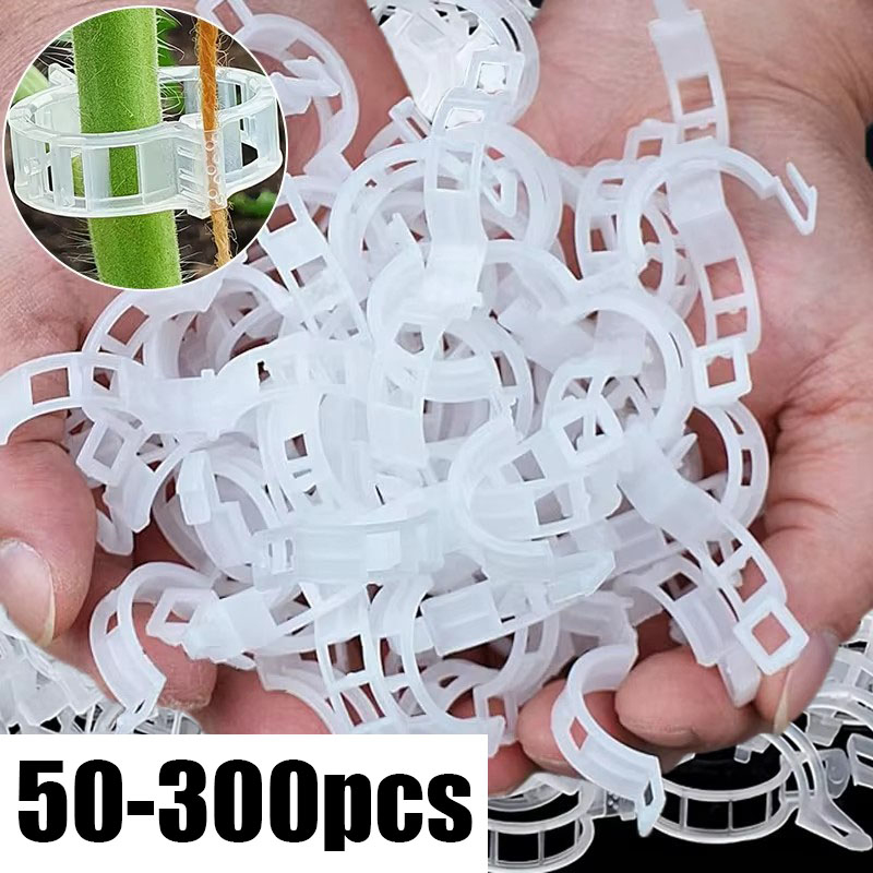 50-300PCS Plant Support Clips  - Gardening Tools Holder ulasan dan harga