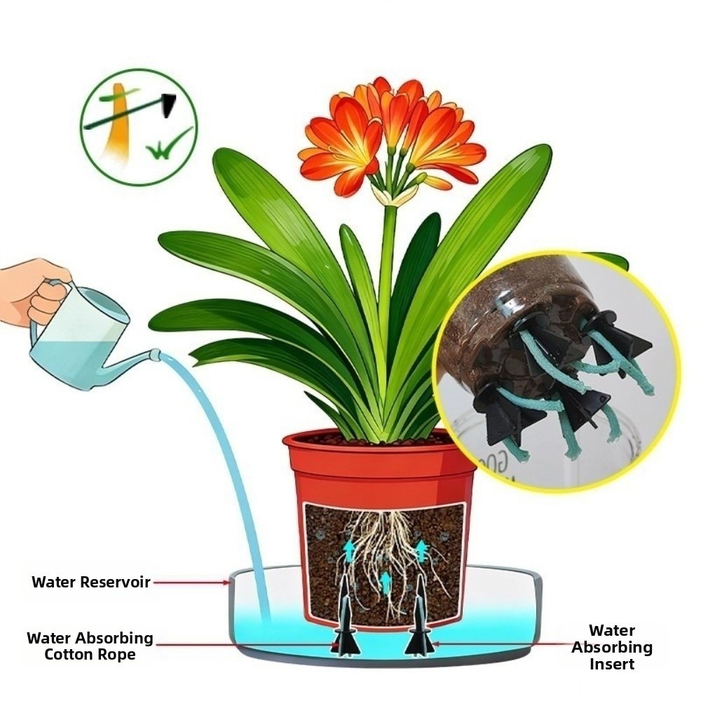 4pcs with Cotton Ropes Plant W - Root Watering Spike ulasan dan harga