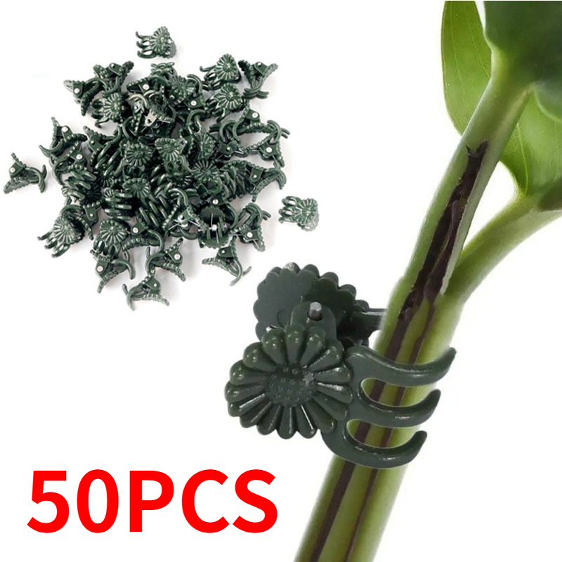 50PCS 5-Claw Dark Green Plant  - Gardening Tools Bundle ulasan dan harga