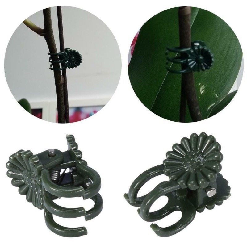 50PCS 5-Claw Dark Green Plant  - Gardening Tools Bundle ulasan dan harga