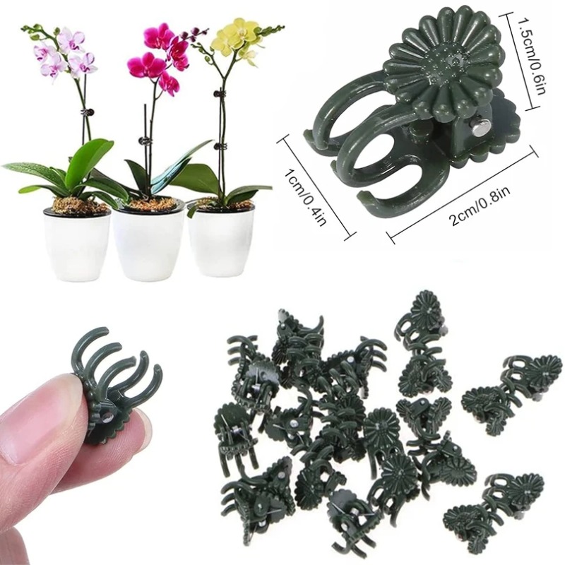 50PCS 5-Claw Dark Green Plant  - Gardening Tools Bundle ulasan dan harga
