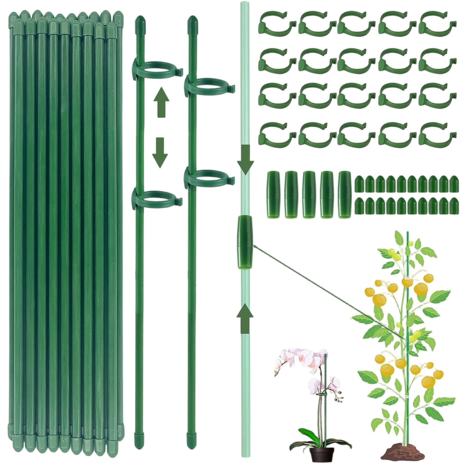 Plant Supports Rod Single Stem - Gardening Tools Holder ulasan dan harga