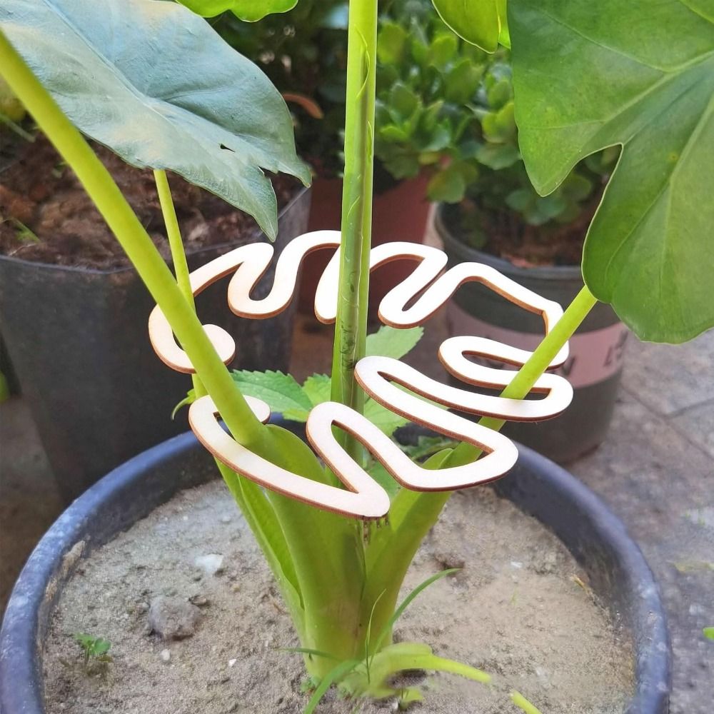 1/2PCS Reusable Turtle Shell B - Gardening Tools Holder ulasan dan harga