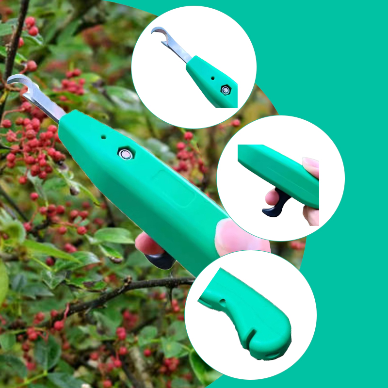 Professional Pepper Picker Han - Gardening Tools Vegetables ulasan dan harga