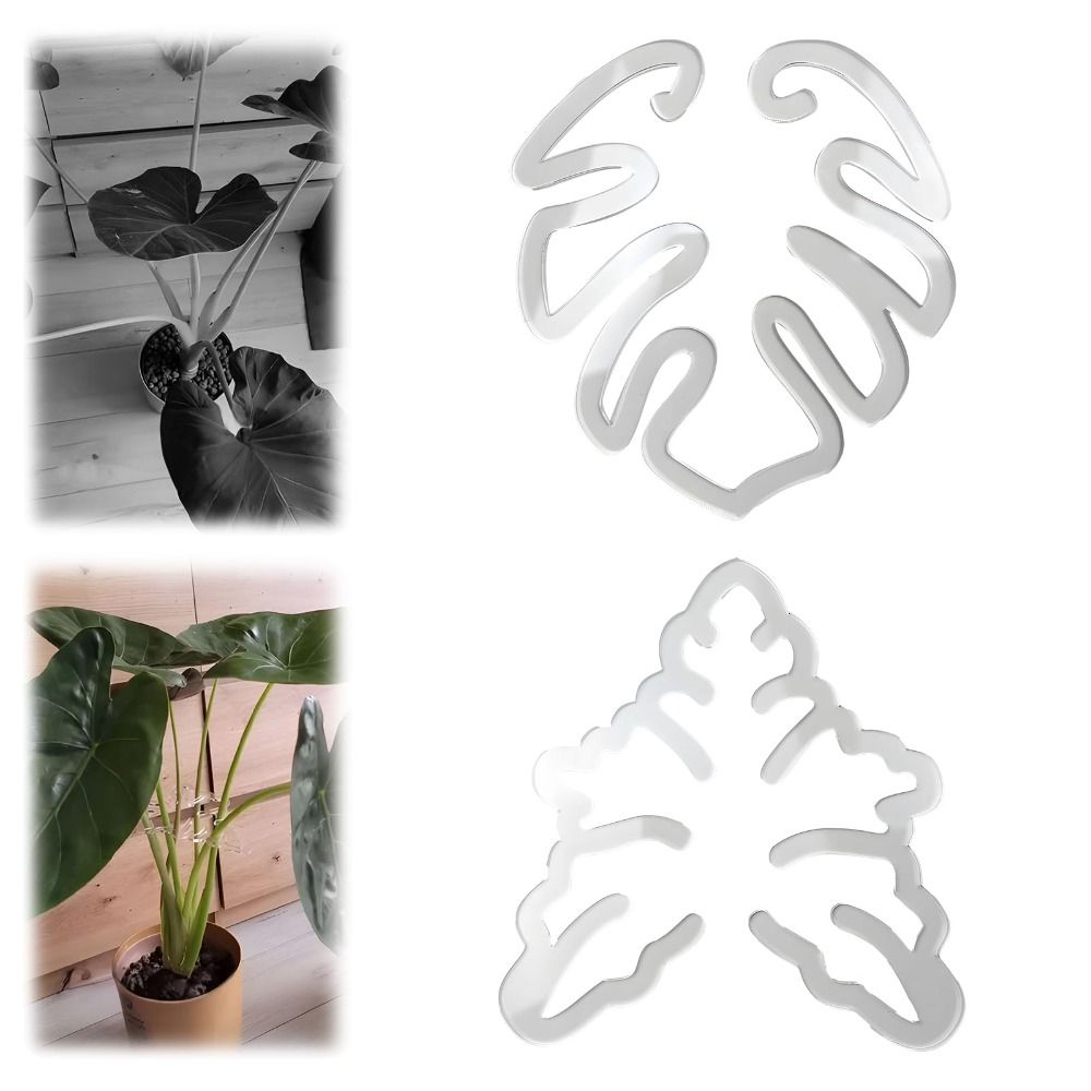 Reusable Turtle Shell Bamboo C - Gardening Tools Holder ulasan dan harga