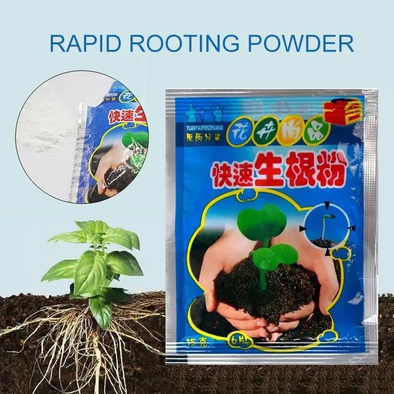 5pcs Fast Rooting Powder Plant - Root Watering Spike ulasan dan harga