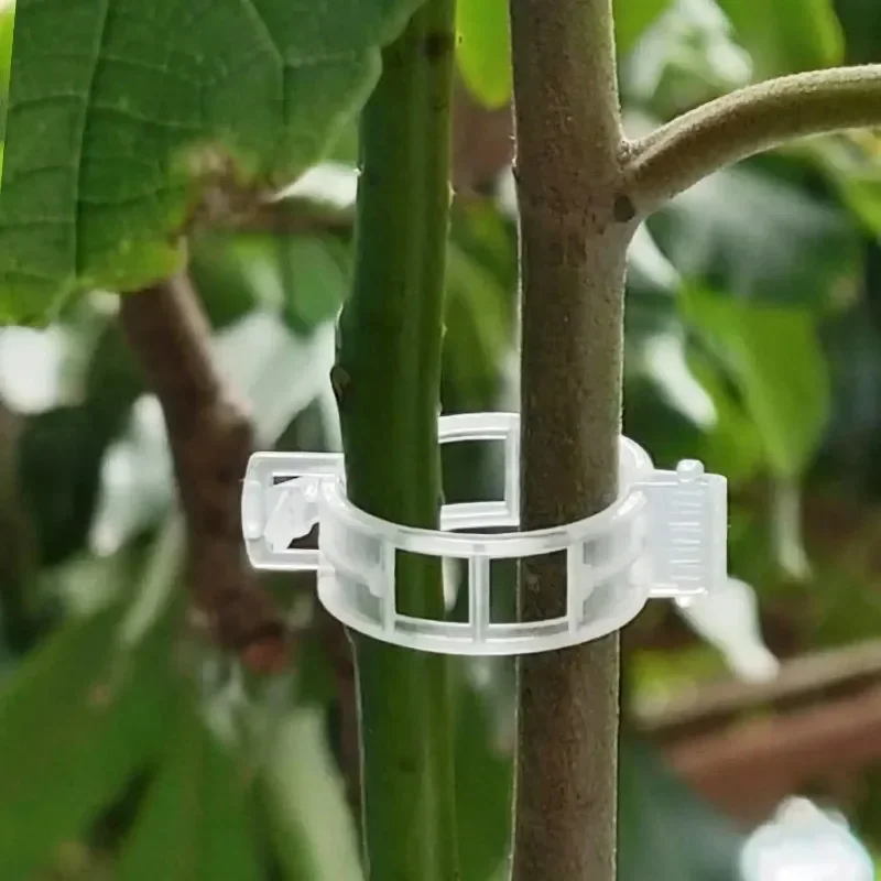 Plant Support Clips Reusable P - Gardening Tools Holder ulasan dan harga