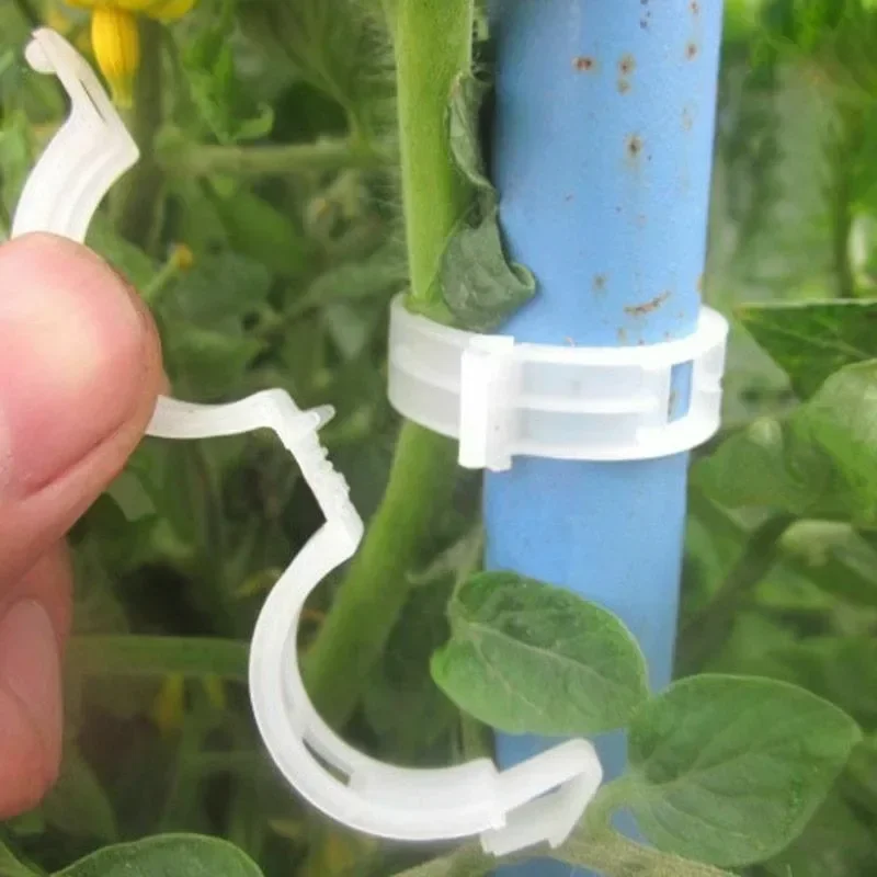 Plant Support Clips Reusable P - Gardening Tools Holder ulasan dan harga
