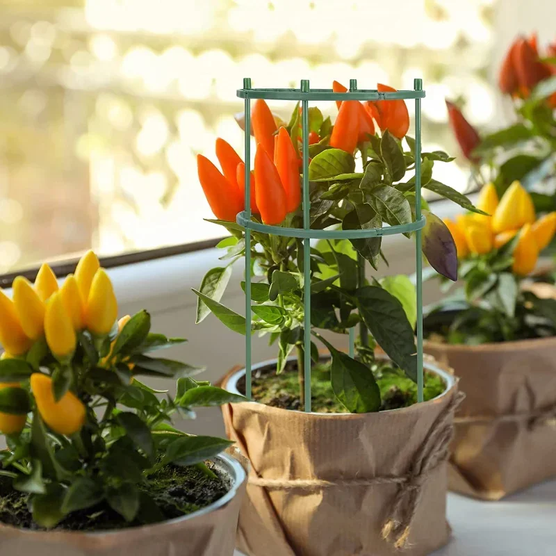 Plastic Plant Support Pile Sta - Gardening Tools Holder ulasan dan harga