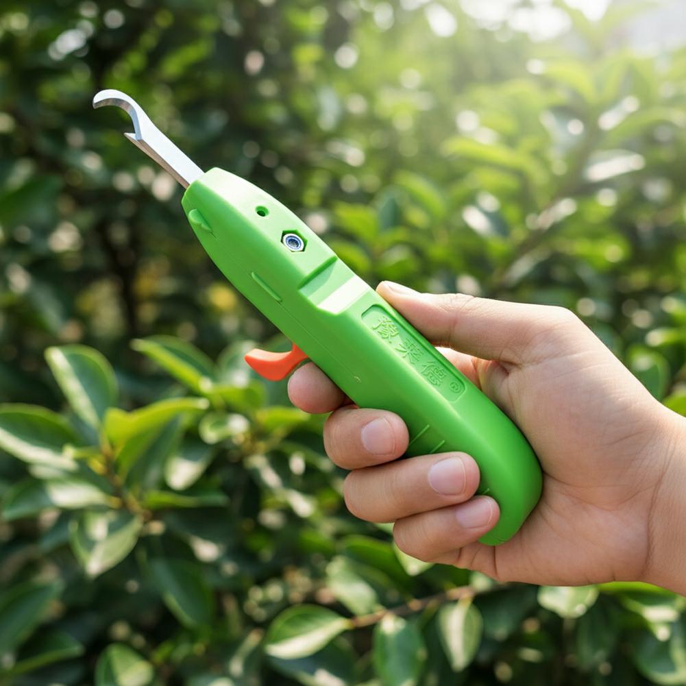 Fruit Vegetable Quick Picking  - Gardening Tools Vegetables ulasan dan harga