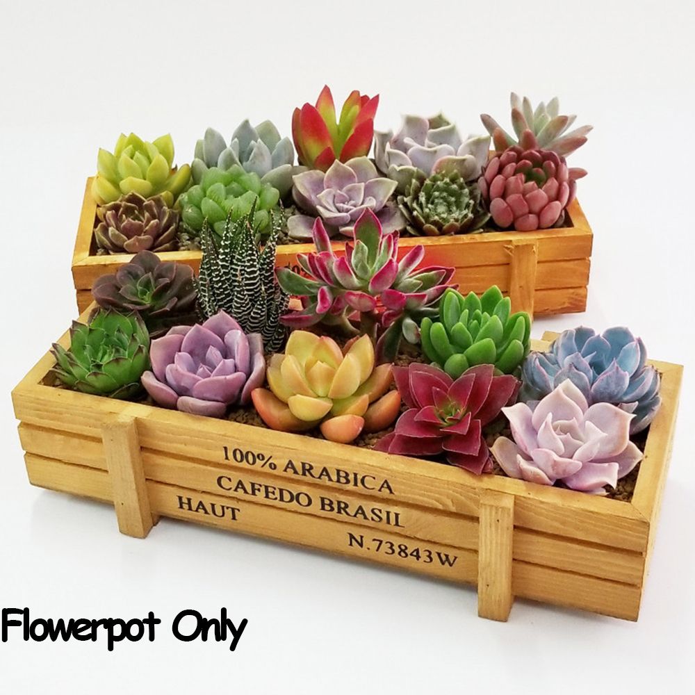 1 PC Tools Garden Decor Trough - Gardening Tools Organiser ulasan dan harga