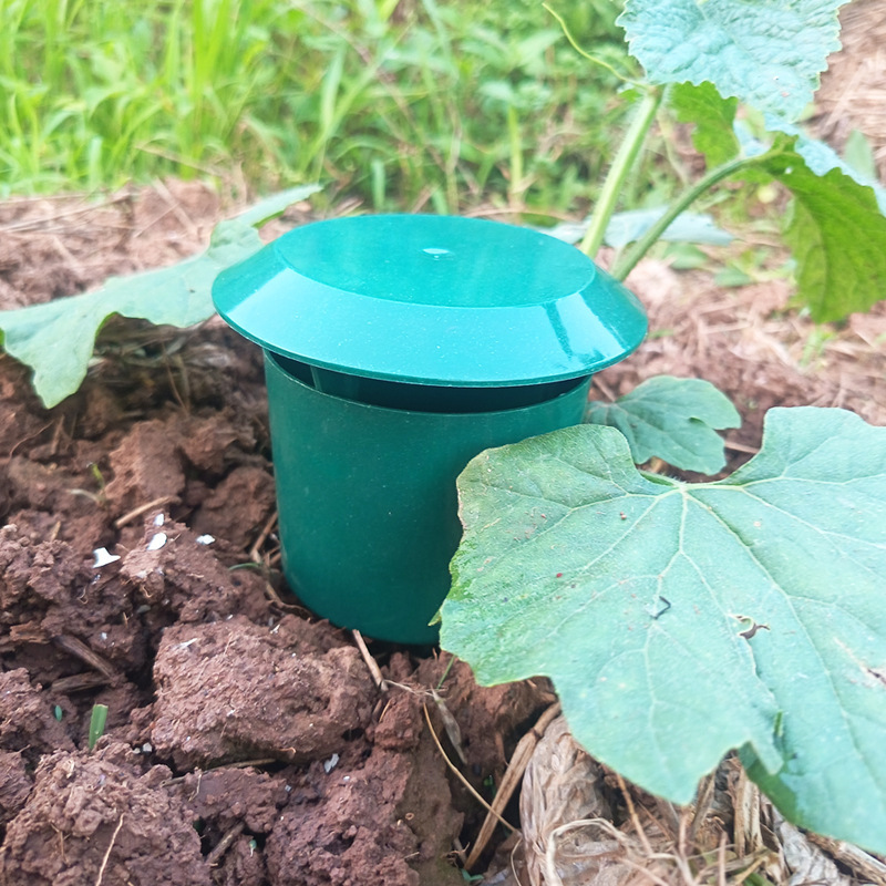 2026 New Snail Trap Catcher Re - Gardening Tools Toolstation ulasan dan harga