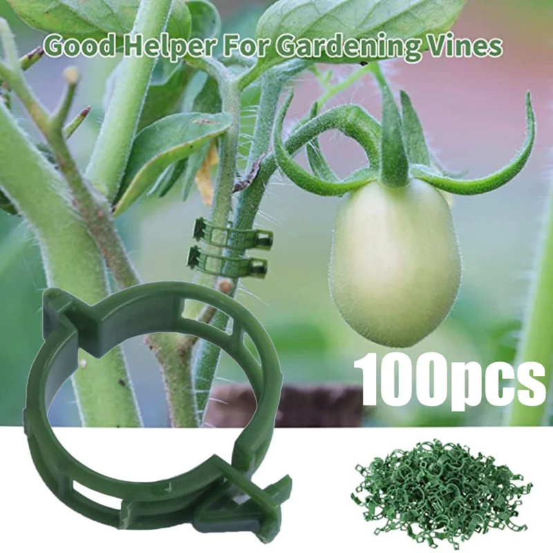 100 PCS/ Plant Support Clip Pl - Gardening Tools Holder ulasan dan harga