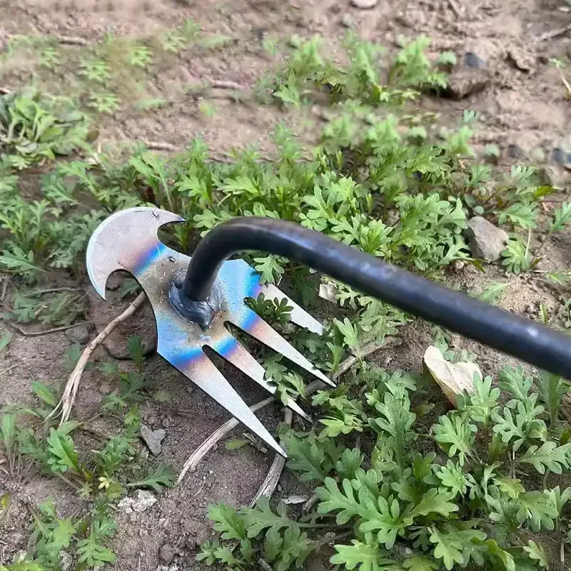 Manganese Steel Garden Weeders - Gardening Tools To Remove Grass ulasan dan harga