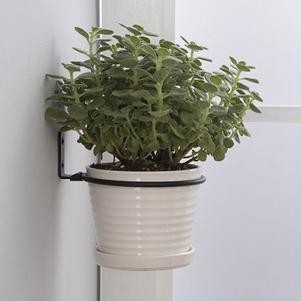 Flower Pot Trays Wall Mounted  - Gardening Tools Holder ulasan dan harga