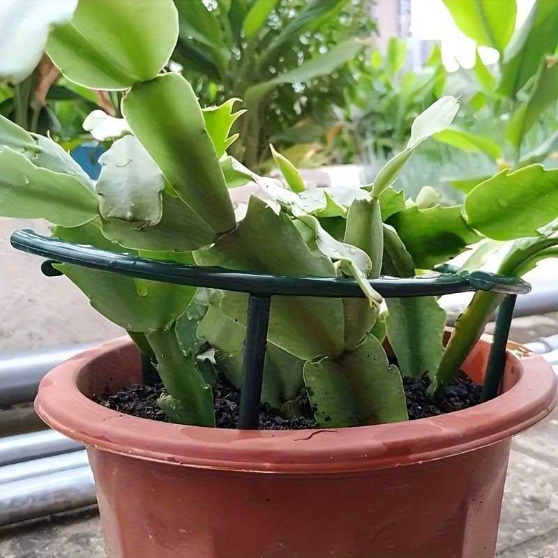 30-1PCS Plastic Plant Support  - Gardening Tools Holder ulasan dan harga