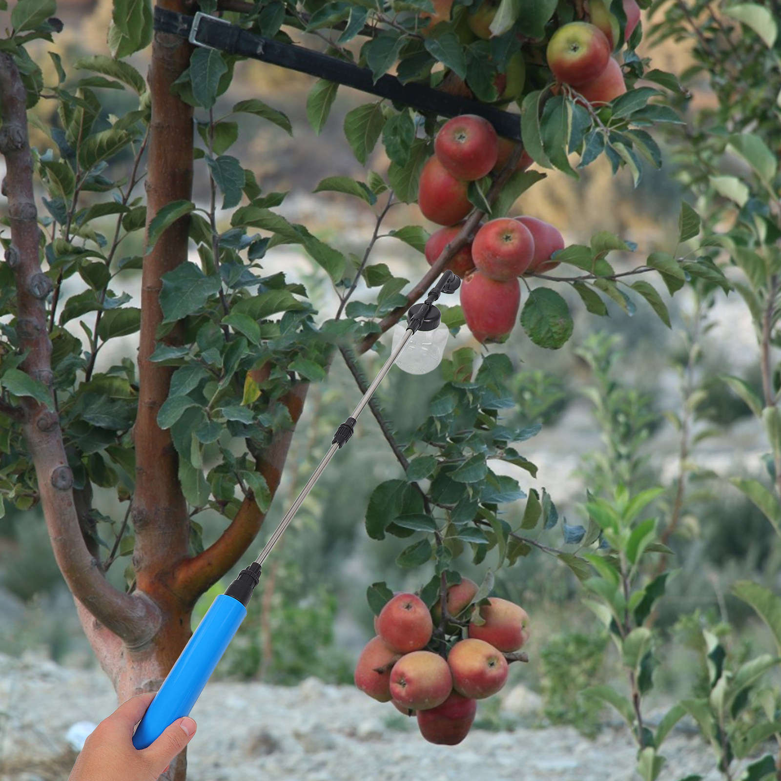 Hand Pollination Sprayer For F - Gardening Tools Vegetables ulasan dan harga